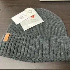 Item thumbnail for item 032c4a6b-a2b7-42ed-8234-e3c8aca17938