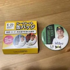 缶バッジ 福岡ソフトバンクホークス EZO 谷川原健太捕手