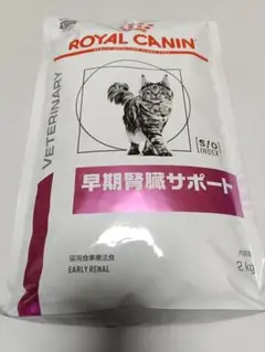 Item thumbnail for item f1cb002d-2e51-4a20-955f-0105bb0848d8