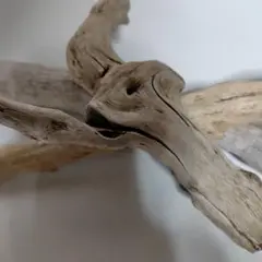 流木素材 自然な形状 白