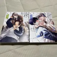 嫌いでいさせて　朝永先生と柳木先生　1巻2巻セット