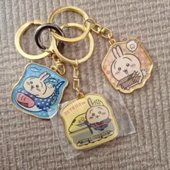 ウサギのアクリルキーホルダーセット