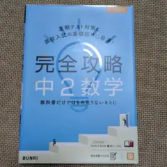 完全攻略中2数学