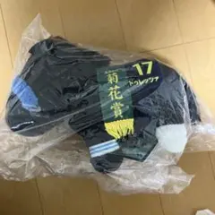 サラブレッドコレクション ぬいぐるみ (ドゥレッツア）