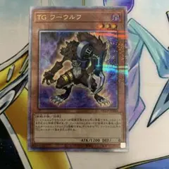 TG ワーウルフ　QCシク　25thシークレット　クオシク　QCCP