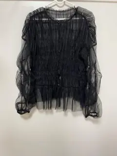 お値下げ美品JEANASIS 黒 シースルー シャーリングレースフリルブラウスF