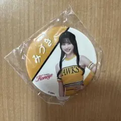 ハニーズみづき 若鷹缶バッジ 福岡ソフトバンクホークス