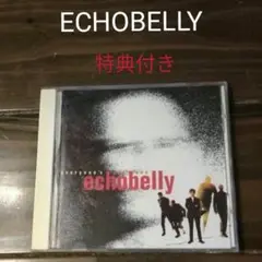 ECHOBELLY / EVERYONE'S GOT ONE