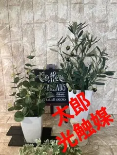 光触媒人工観葉植物ウォールグリーンフェイクハンドメイド オリーブとバロックajt