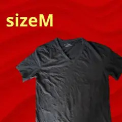 ✨Calvin Klein✨　カルバンクライン　Tシャツ　黒　M