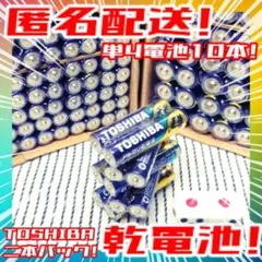 東芝アルカリ乾電池 単4/10本