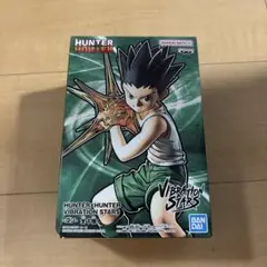 Hunter×Hunter VIBRATION STARS ゴン