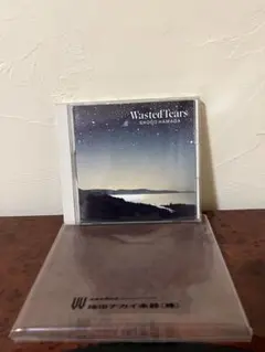 美品/浜田省吾 Wasted Tears 32DH5269 初回盤　邦楽CD