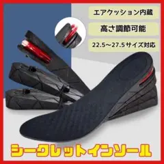 【シークレットインソール】22.5cm〜27cm 男女兼用身長アップ　黒