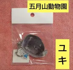 ユキ アクリルキーホルダー 　五月山動物園　ウォンバット