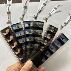 Item thumbnail for item 2406c43d-417f-4965-b4cc-c0b216311540