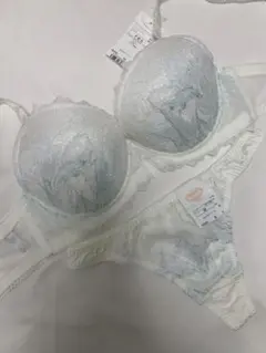 ワコール F65 M