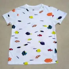 グラニフ graniph 魚 熱帯魚 半袖 Tシャツ 140cm 春夏 水族館