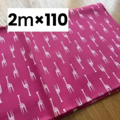 SEVENBERRY キリン 動物 ピンク プリント 2ｍ×110 綿 生地 布