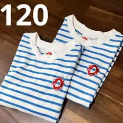 【万博】ミャクミャクキッズTシャツ/120/ボーダー/青/関西EXPO2025