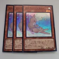 遊戯王 メルフィー・ワラビィ スーパーレア 3枚セット