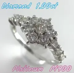 Item thumbnail for item abbd68af-bb43-4574-b892-5c3152451f5d