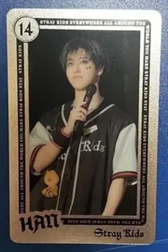 Stray Kids スキズ ランダムライブフォトカード　 ハン