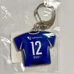 町田ゼルビア プレイヤーズメタルキーホルダー ゼルビー