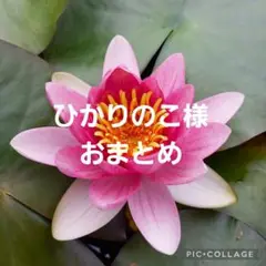 Item thumbnail for item addbe376-4d11-4c25-812c-ccd92b729170