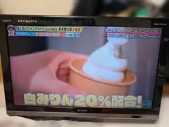 Item thumbnail for item 3740b6ae-657f-4393-81e7-e1085c319ce2