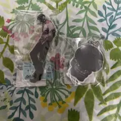 ストグラ ストグラフェス ケインオー