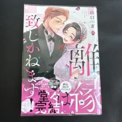離縁は致しかねます! 8