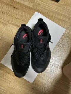ASICS GLIDE NOVA FF 3 グライドノヴァ