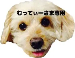 ☆1種☆ 求心フレンズ ひらがな ひらがなふわふわぬいぐるみ 「め」6