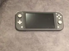 Switchライト グレー
