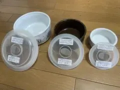 Item thumbnail for item 4be43656-0ee1-4b09-8488-4dc5ea84a873