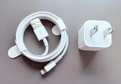 Apple 純正 Lightning-USBケーブル ACアダプタ iPhone