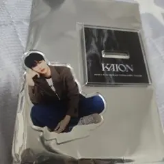 EXO KAI カイ KAION グッズ アクリルスタンド アクスタ