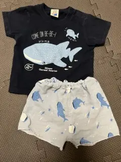 tシャツ ズボン　パンツ　80 セット　沖縄　美ら海水族館　ジンベエザメ
