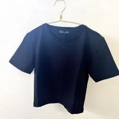 ザラ　ZARA Tシャツ　ショートTシャツ　新品　タグ付き