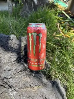 海外版 モンスターエナジー モンスターエナジードリンク 海外版 ボトル 日本未発売の通販 by