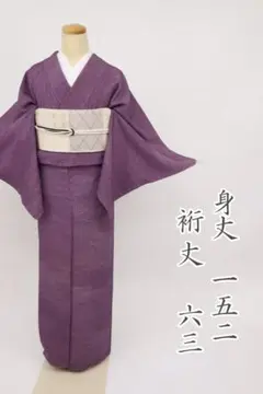 セール♪作家物　一つ紋入りの江戸小紋袷着物　内田秀一　角通し　若松屋　入学式 2025年最新】内田秀一 江戸小紋の人気アイテム - メルカリ