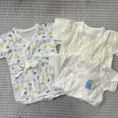 Item thumbnail for item 3acf09ac-45d6-437b-be51-8141c3829723