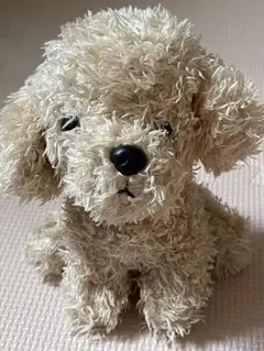 トイプードル　ミニぬいぐるみ