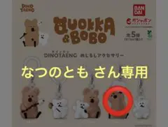クォッカ&マーシュ 専用ページ