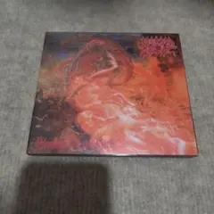 デスメタル〇MORBID ANGEL／モービッド・エンジェル 91年2nd デスメタル〇MORBID ANGEL／モービッド・エンジェル 91年2nd