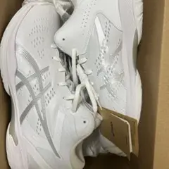 Item thumbnail for item 4cbf28bd-d7ef-468b-9de3-bc022ee92d0e