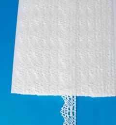 Item thumbnail for item 885d1f6e-98b3-4897-a612-49008c31b4de