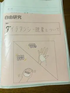 自由研究　サンプル　即日発送可！
