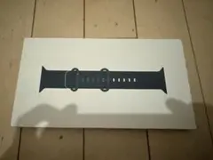 Apple Watch Ocean Band ブラック